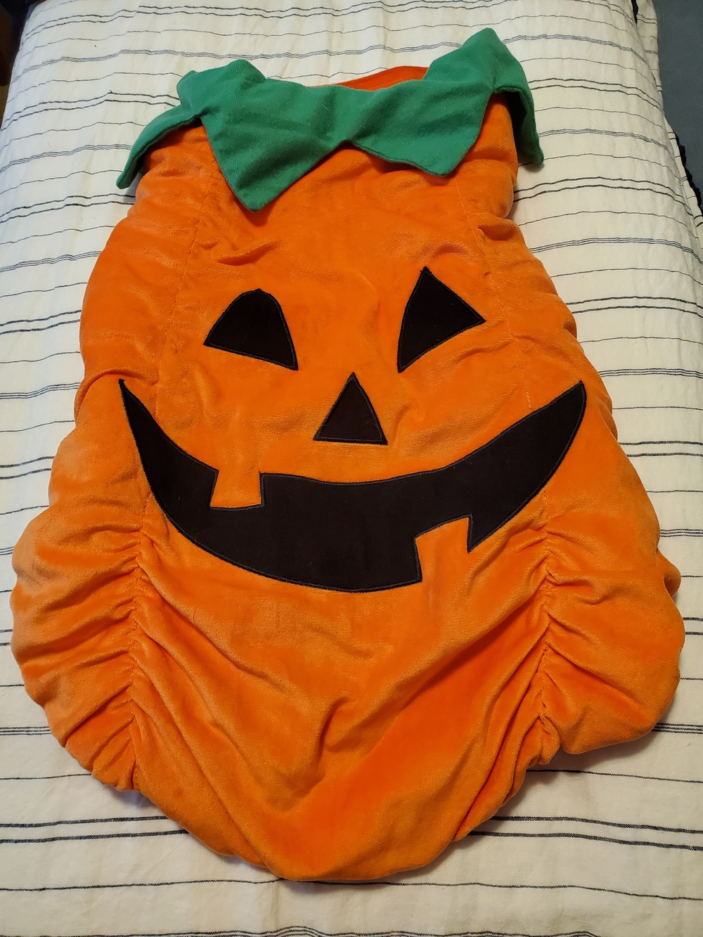 Pumpkin Dog Costume - Large